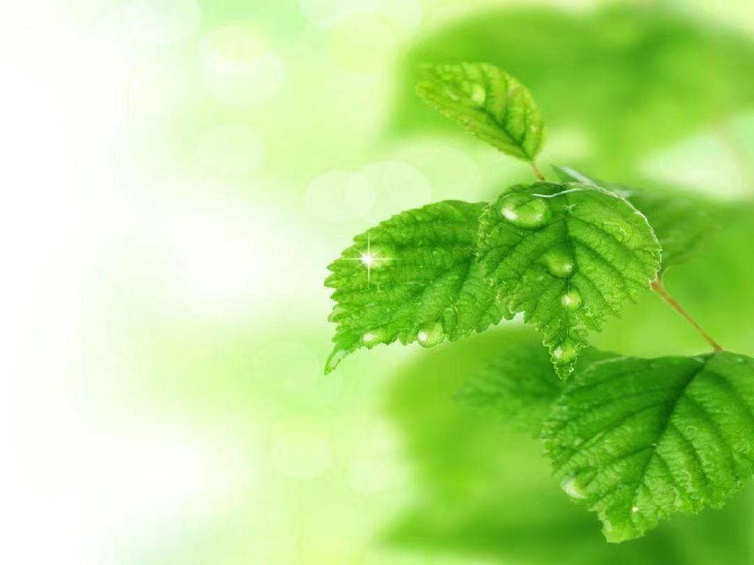 我可以做线上培训，有5年培训及管理工作