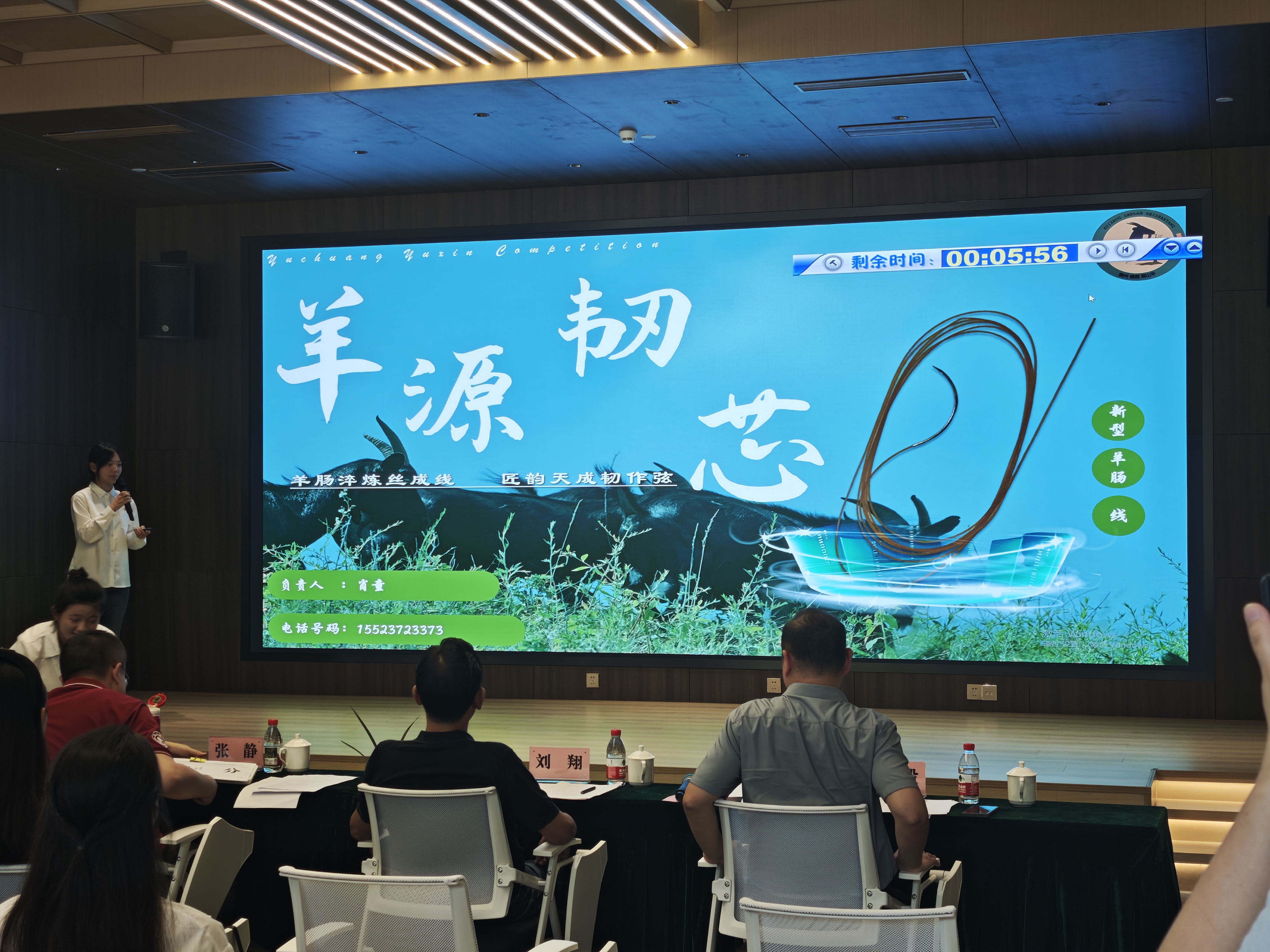 我可以PPT制作，20页