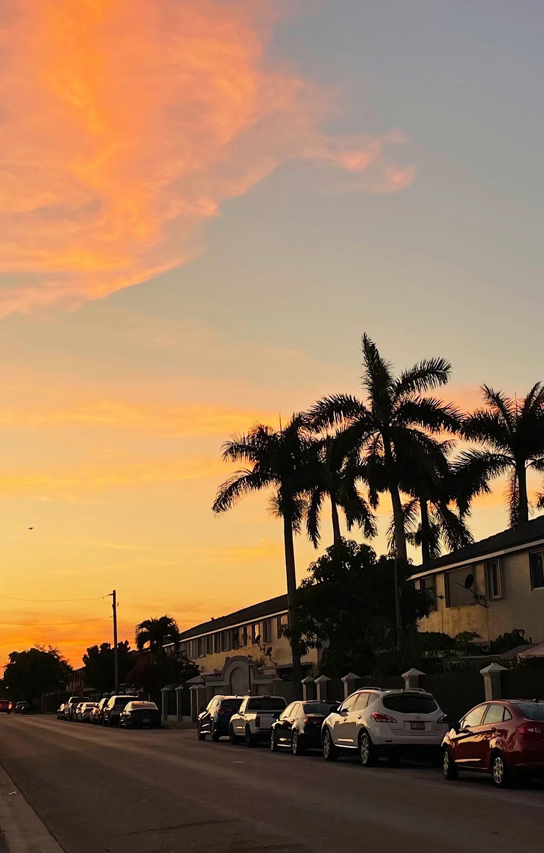 我可以辅导留学交互作品集1课时