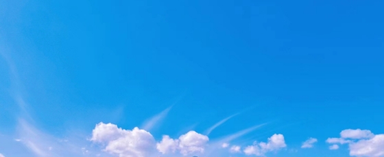 我可以完成一场英文翻译英文直播