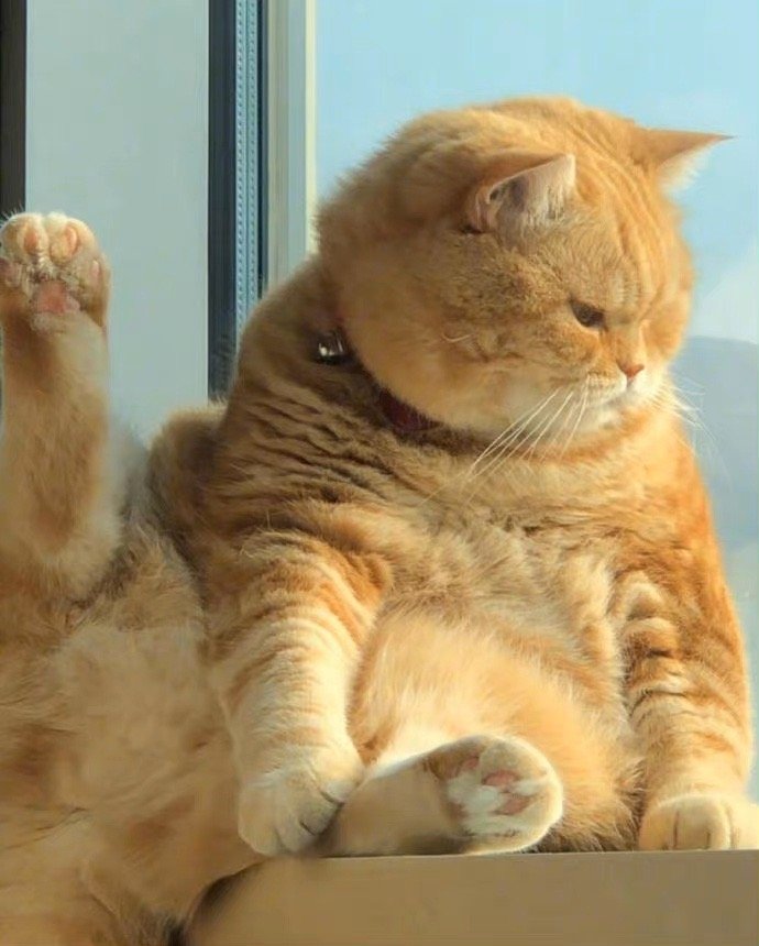 我可以做一个树洞，倾听你的声音一小时