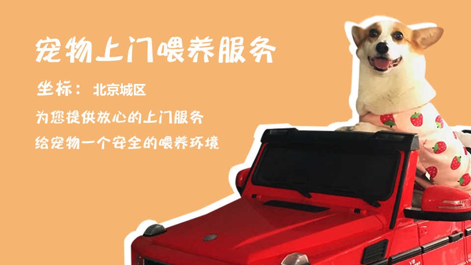 我可以喂一次猫，遛一次狗