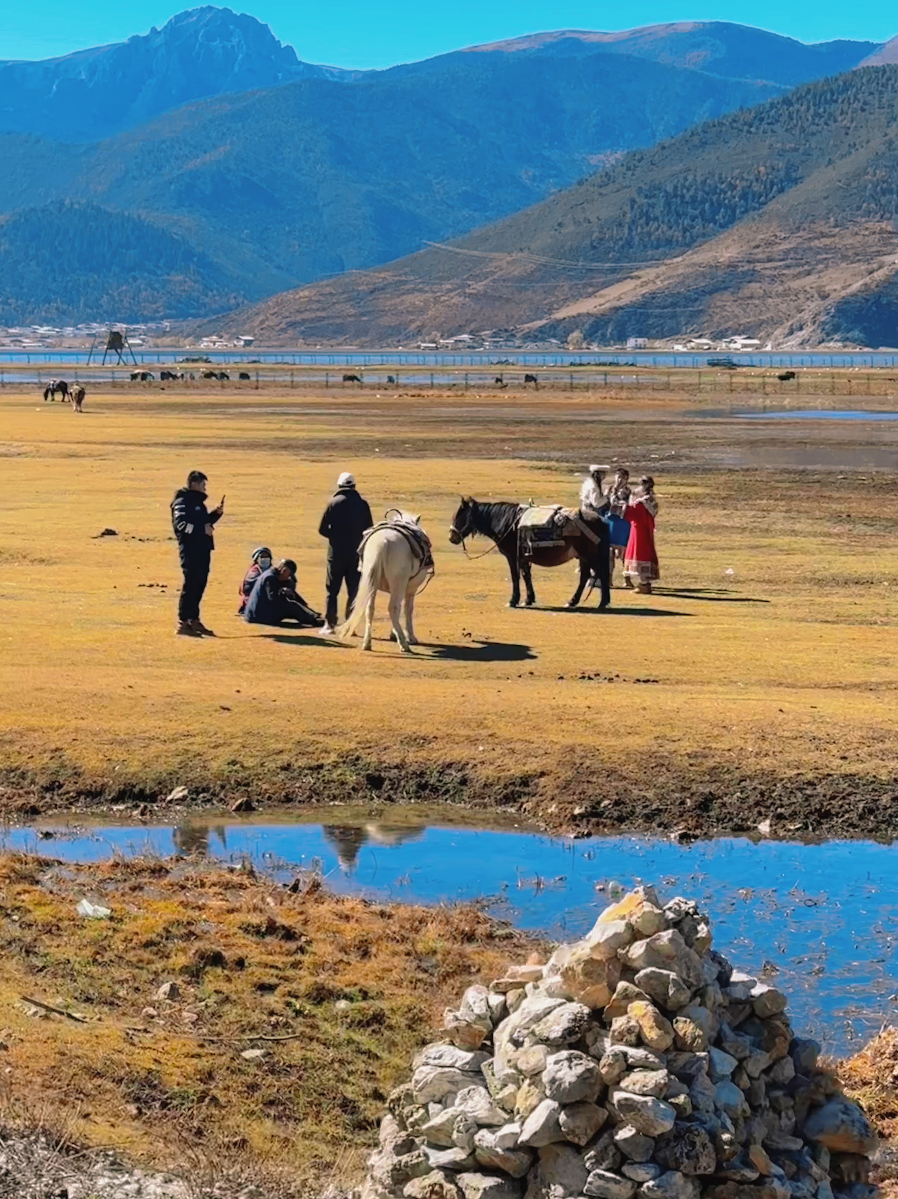 我可以500字文案编辑、脚本编辑、视频剪辑