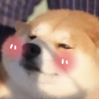 我可以全成都代跑5办事送货