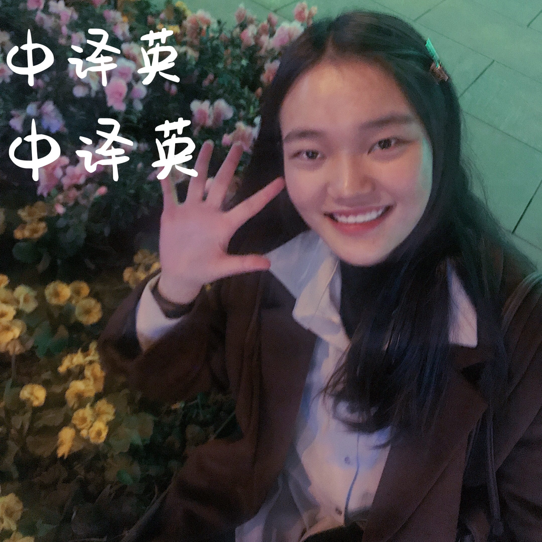 我可以翻译3h以内的视频（中译英、英语中）