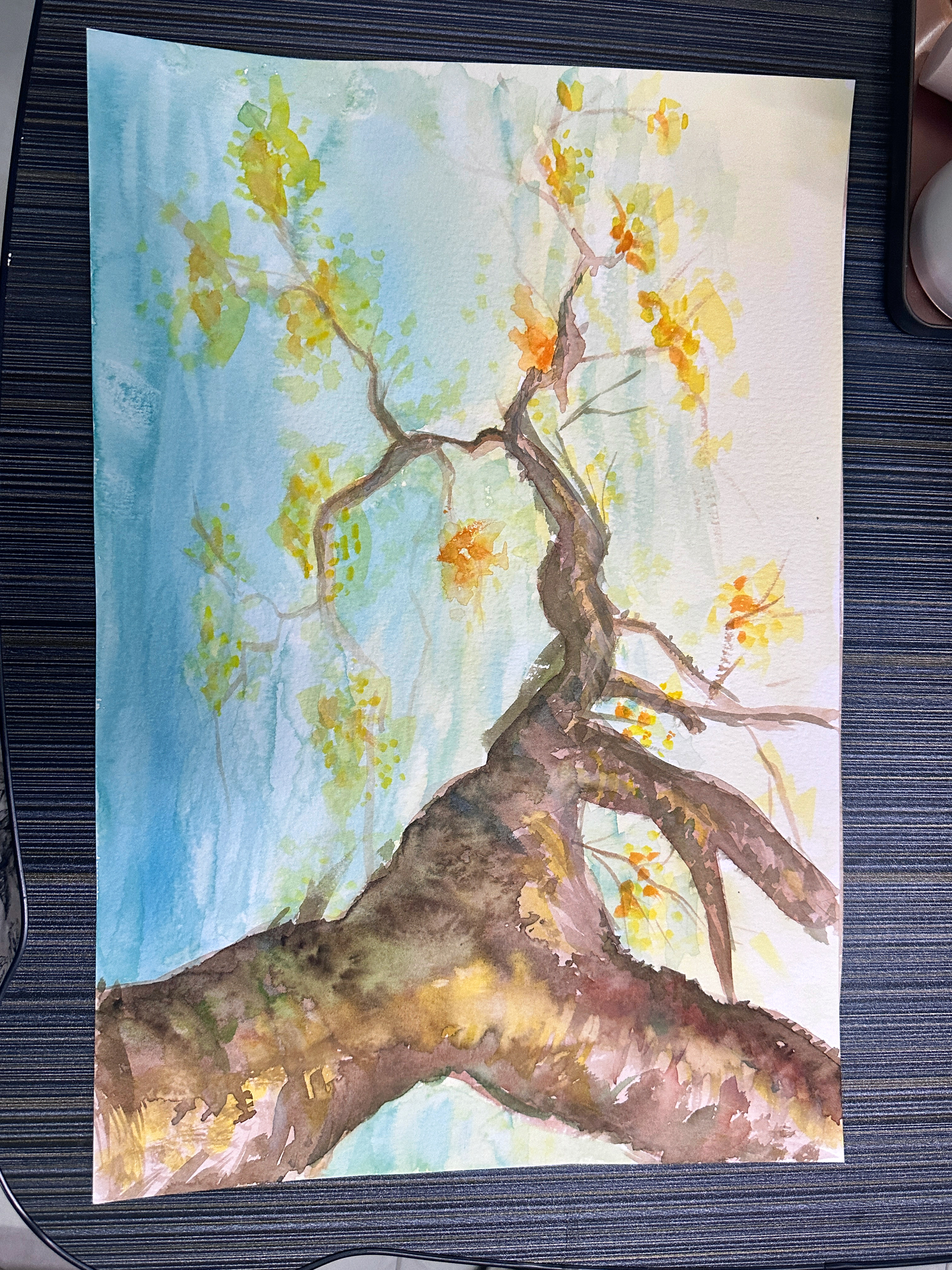 我可以一天完成视频文章审核