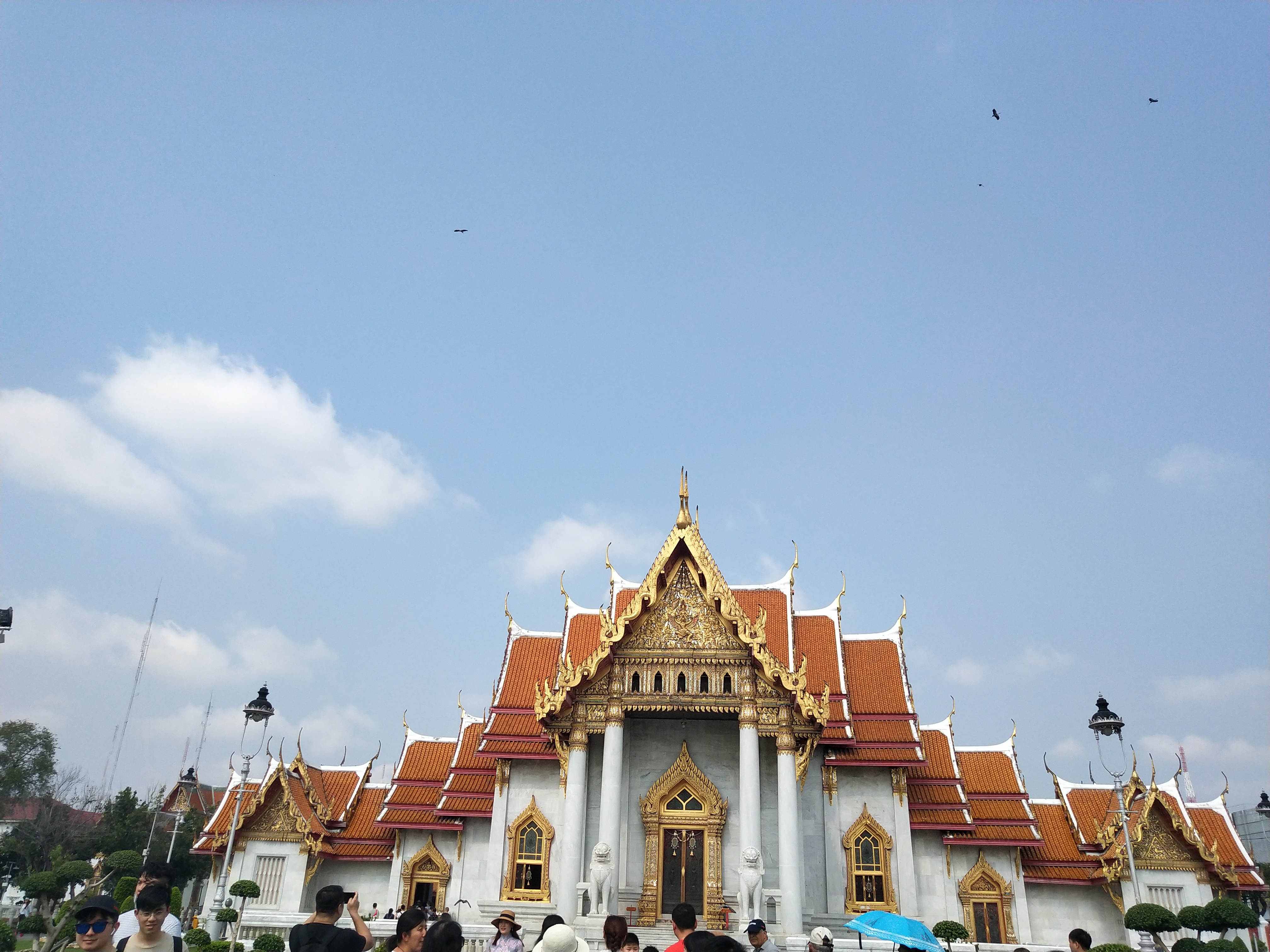 我可以陪伴读书，21天彻底爱上阅读