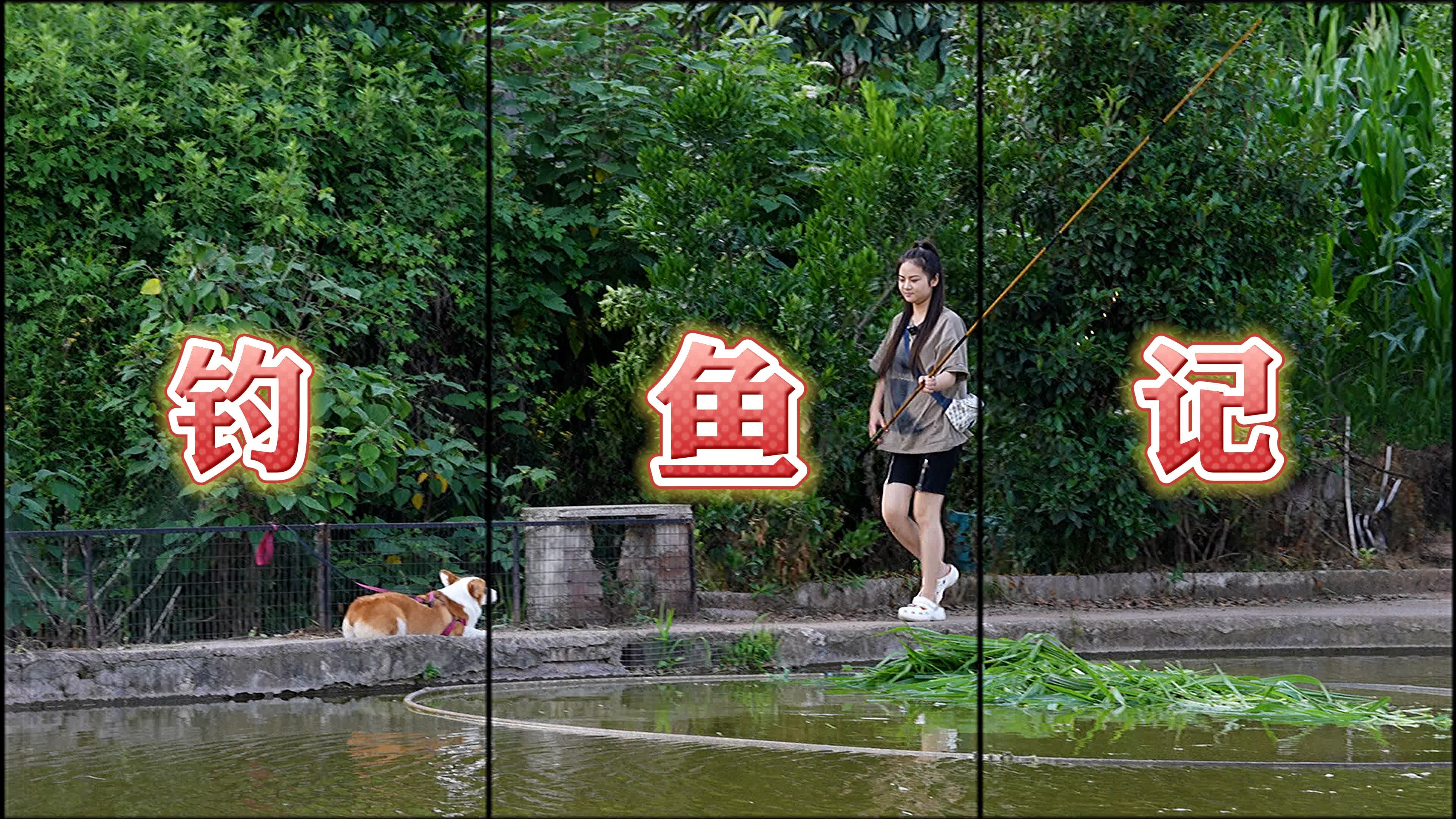 我可以剪辑15秒到5分钟视频，歌曲后期混音