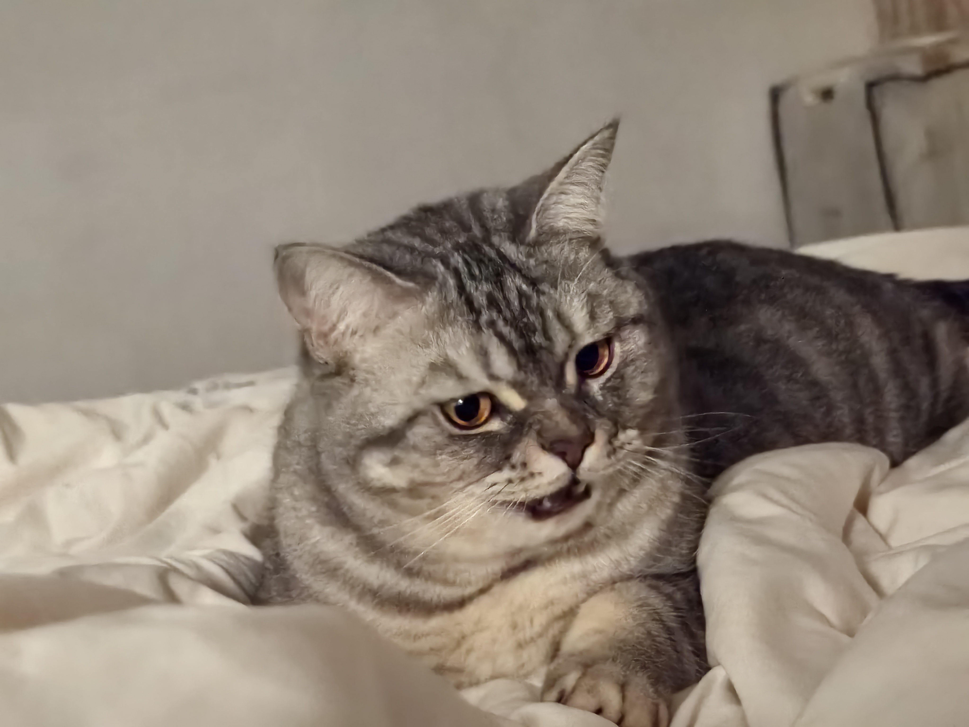 我可以从0到1的Java项目开发，多年开发经验，工作认真负责。