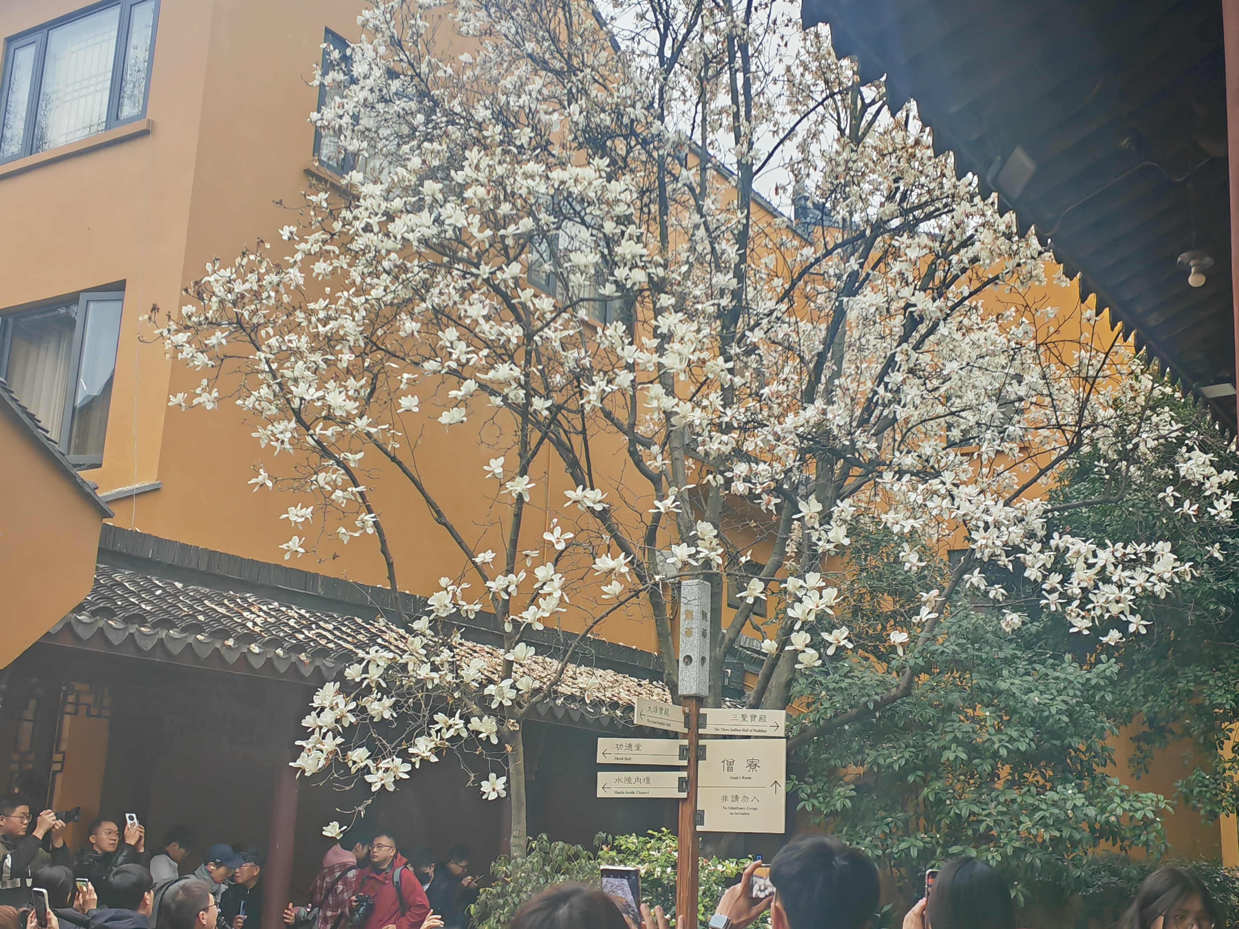 我可以提供2000种法律咨询、审查合同、进行法律尽职调查、翻译、撰写诉讼文书等等