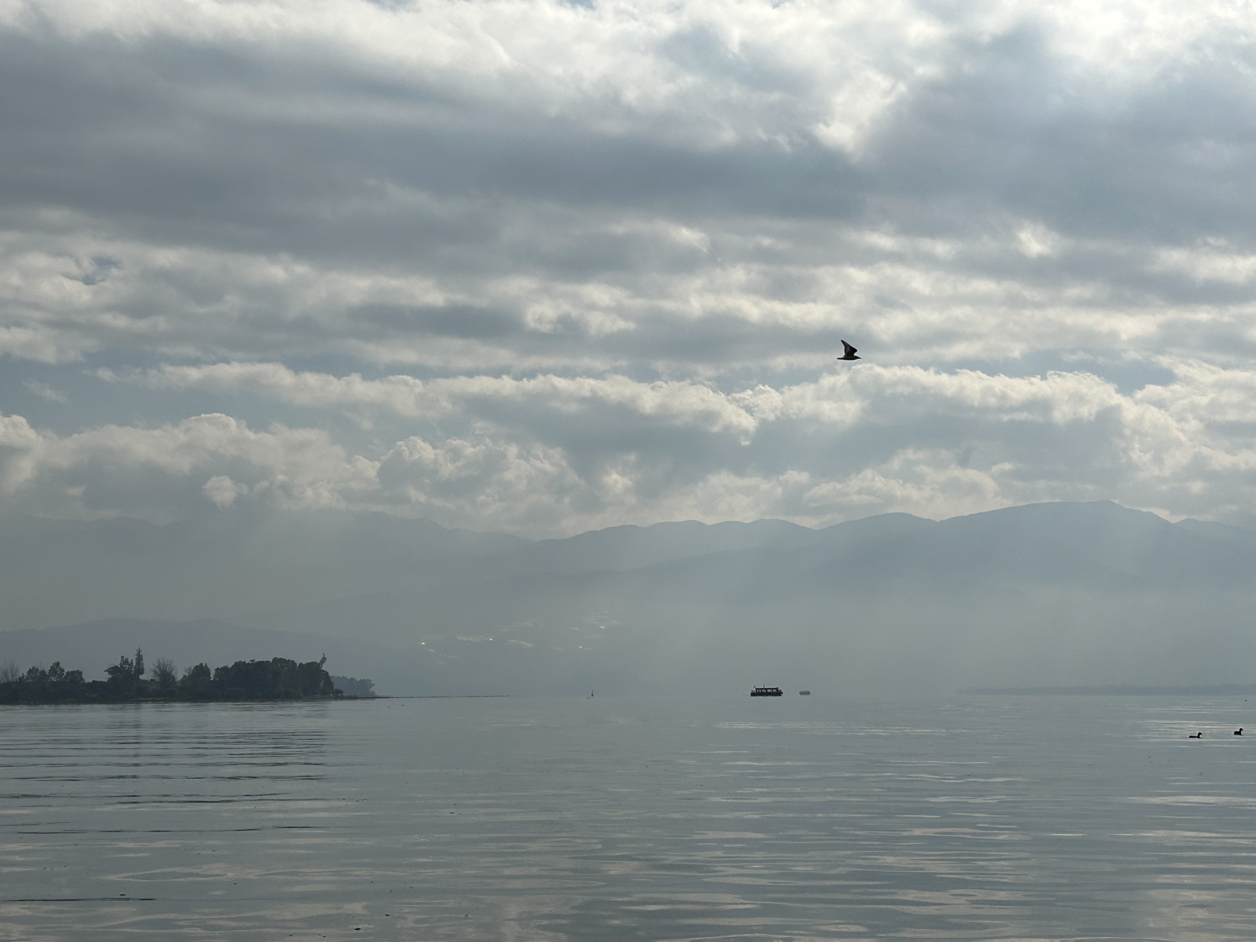 我可以独立负责亚马逊1-2个站点