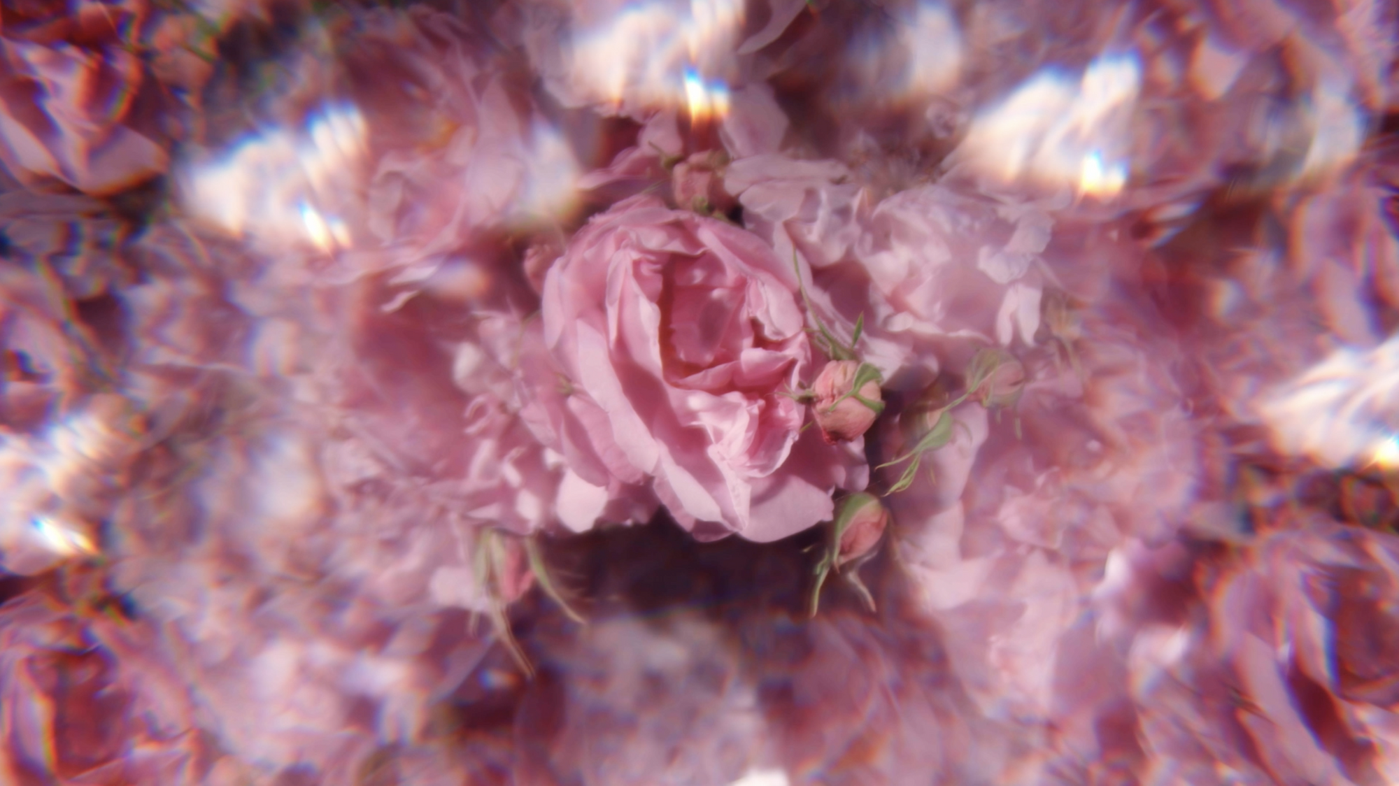 我可以在6小时内完成10,000字的中英翻译