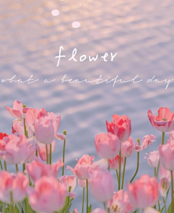 我可以完成一篇文稿女声配音、粤语/国语