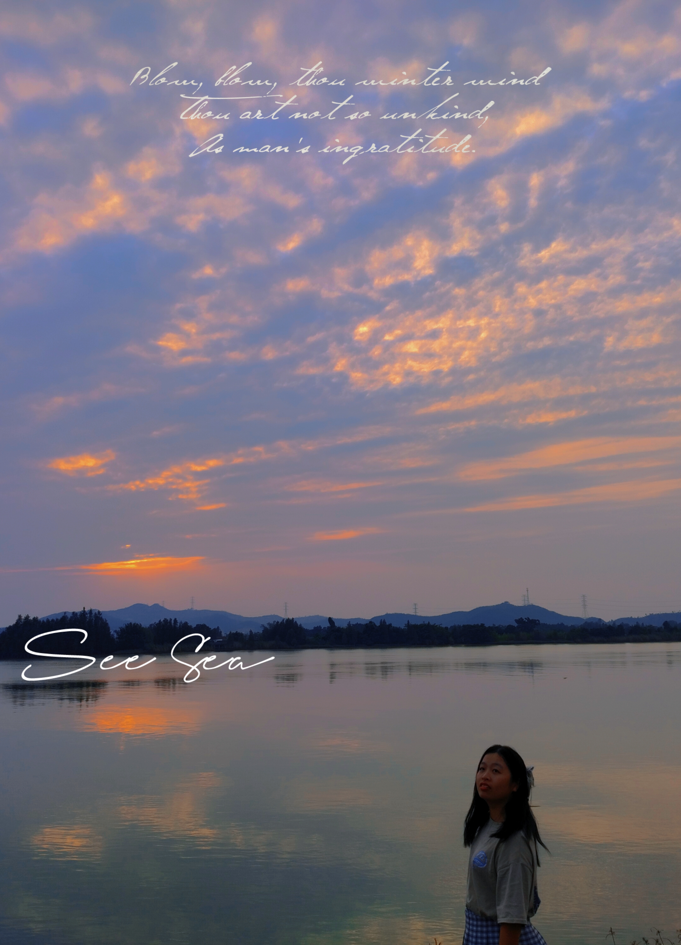 我可以配200字以上的文章