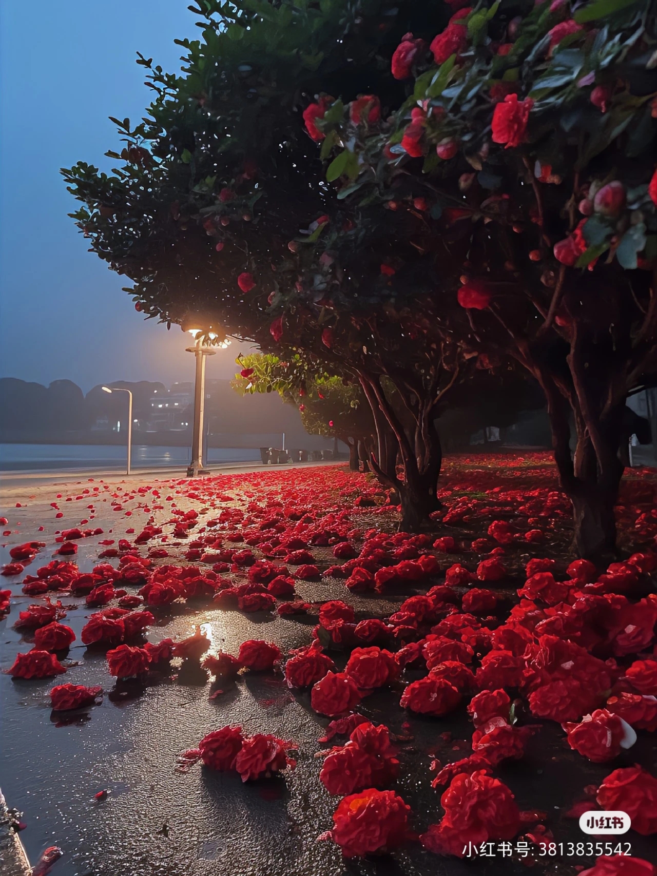 我可以王者荣耀各种模式陪玩！可以让你开心！40