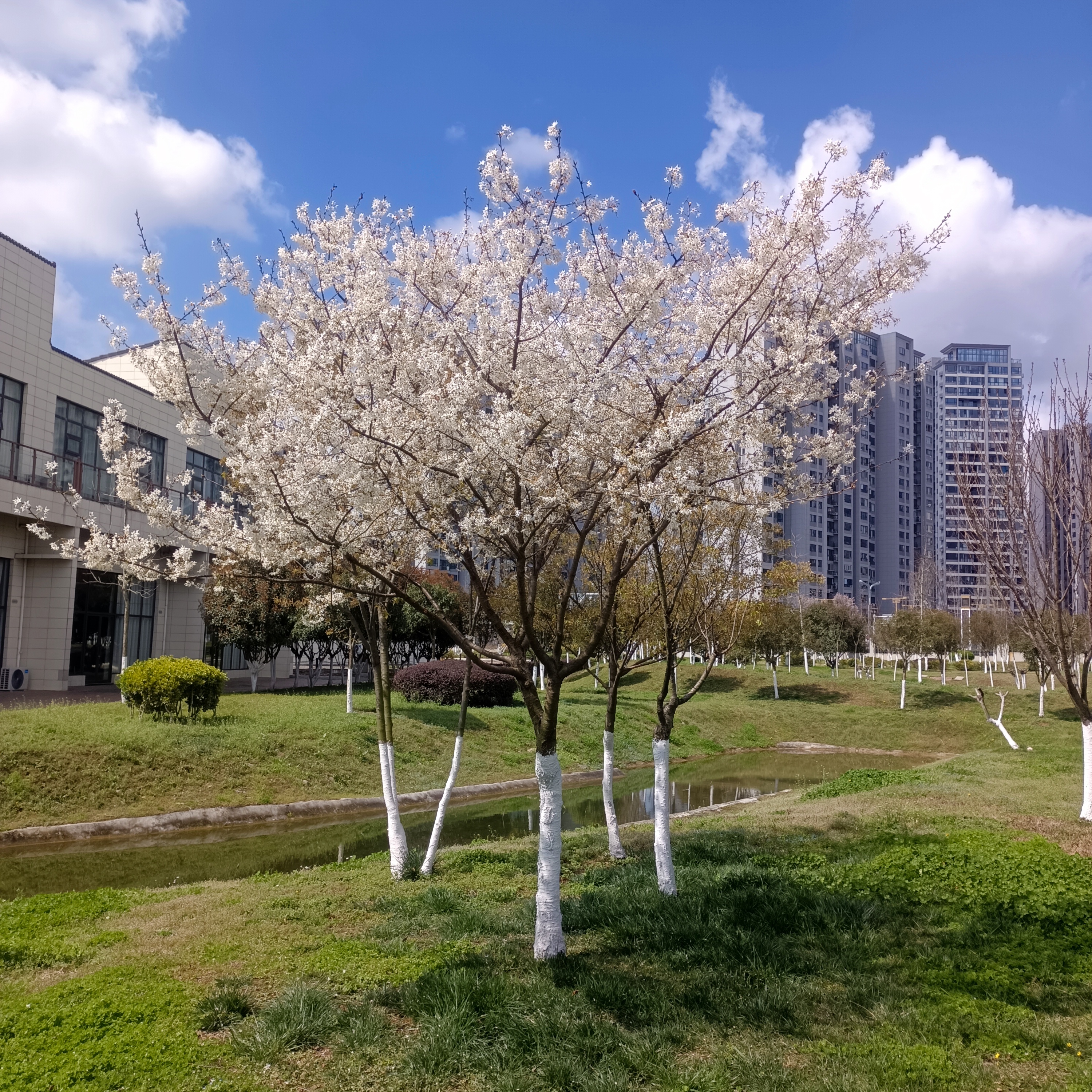 我可以完成5分钟的音频剪辑， 声音处理