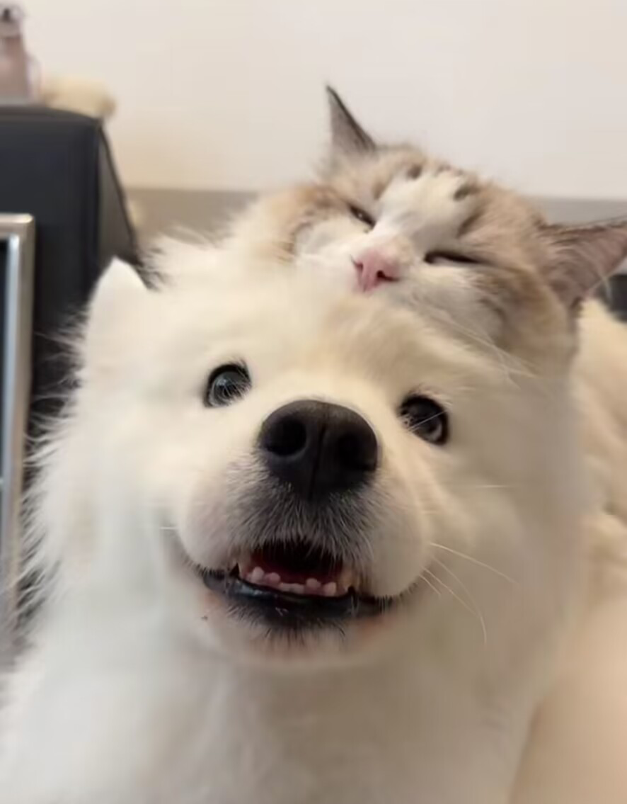 我可以完成一两张CAD图纸，一两个UG，solidworks软件绘制的零件图