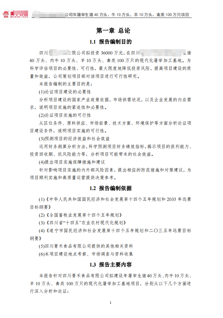 我可以做，1篇项目可研报告