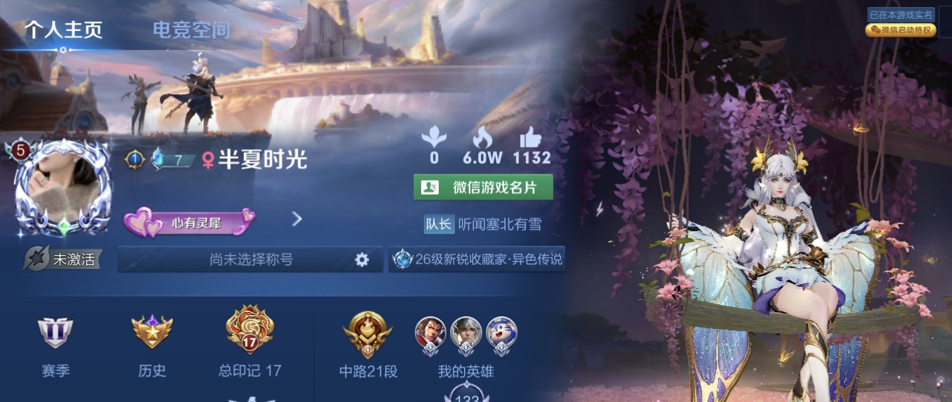 我可以在晚上和有空的时候陪你一起玩王者荣耀，游戏几年的时间可补位，作为娱乐的陪伴玩家