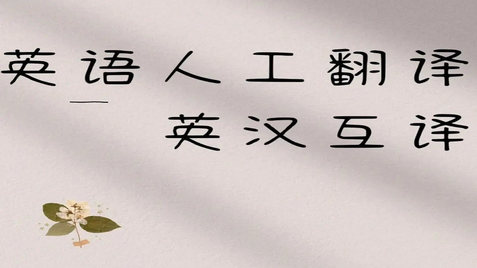 我可以中英文翻译 一篇文章翻译