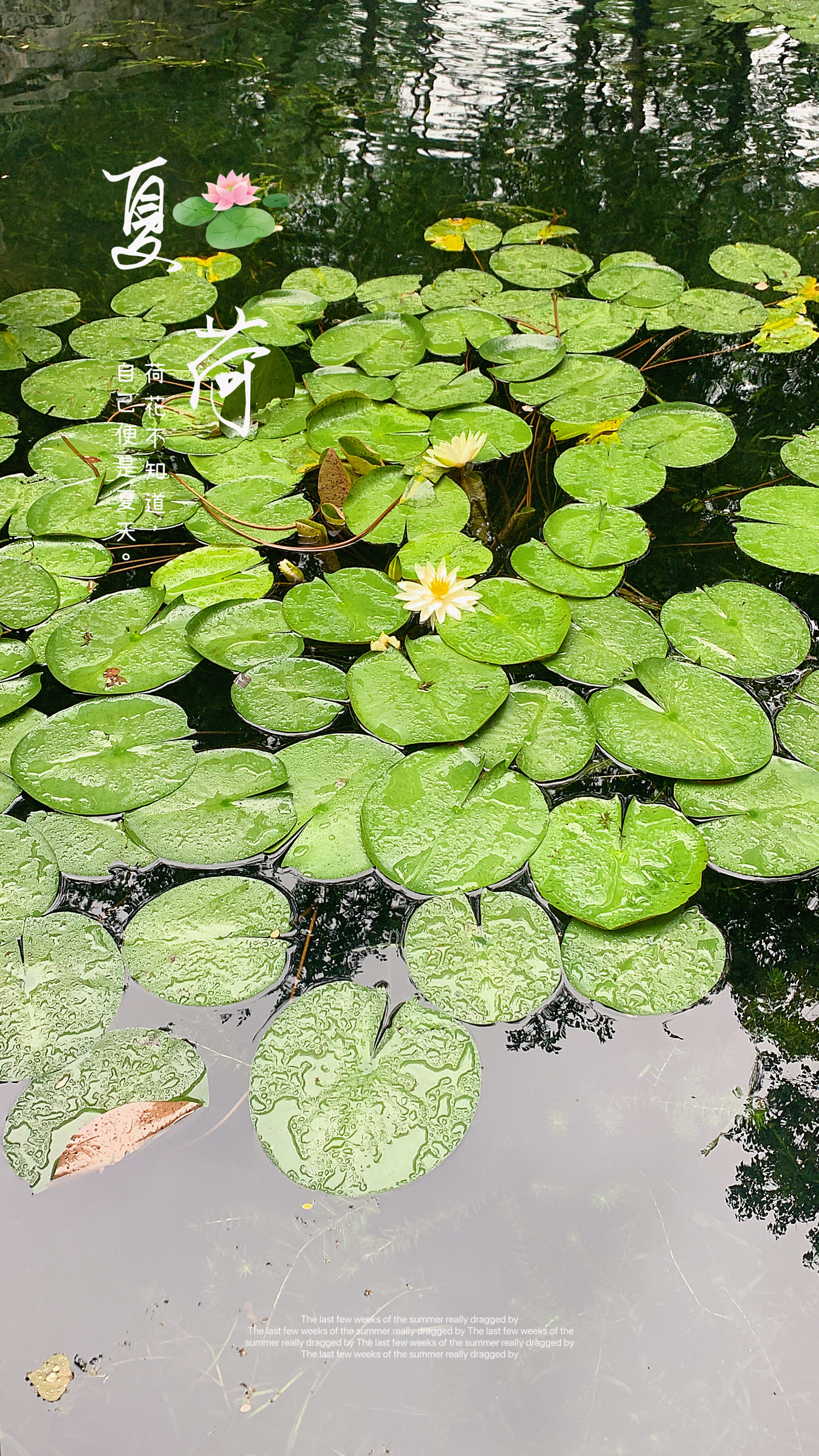 我可以帮你按要求做一份ppt或者打一份字