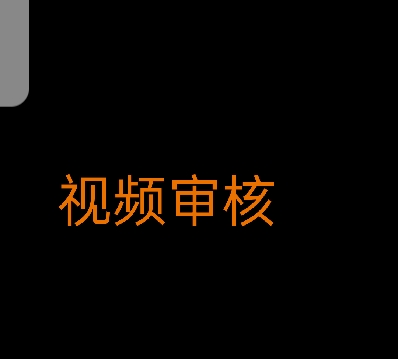 我可以审核一些视频