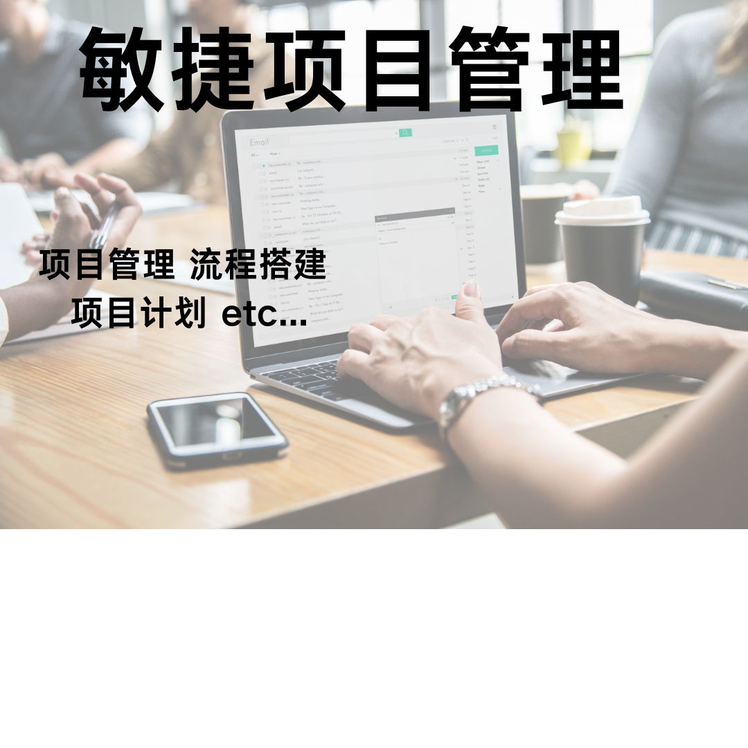 我可以做一个或多个软件项目/产品管理，非常丰富的敏捷软件开发管理经验