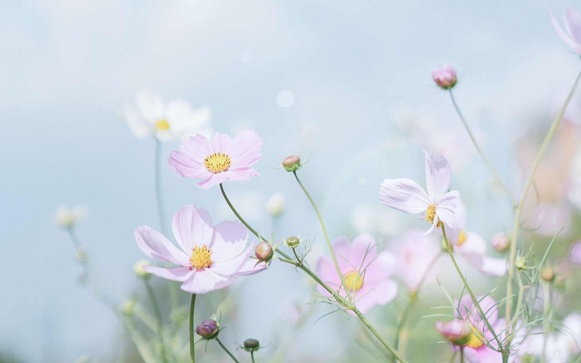 我可以倾听你的烦恼你的心事你的纠结，可以跟你聊聊天，也可以给你一些建议