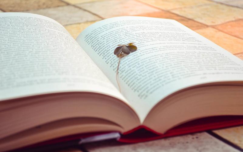 我可以做一场职业发展、求职、职业选择等咨询