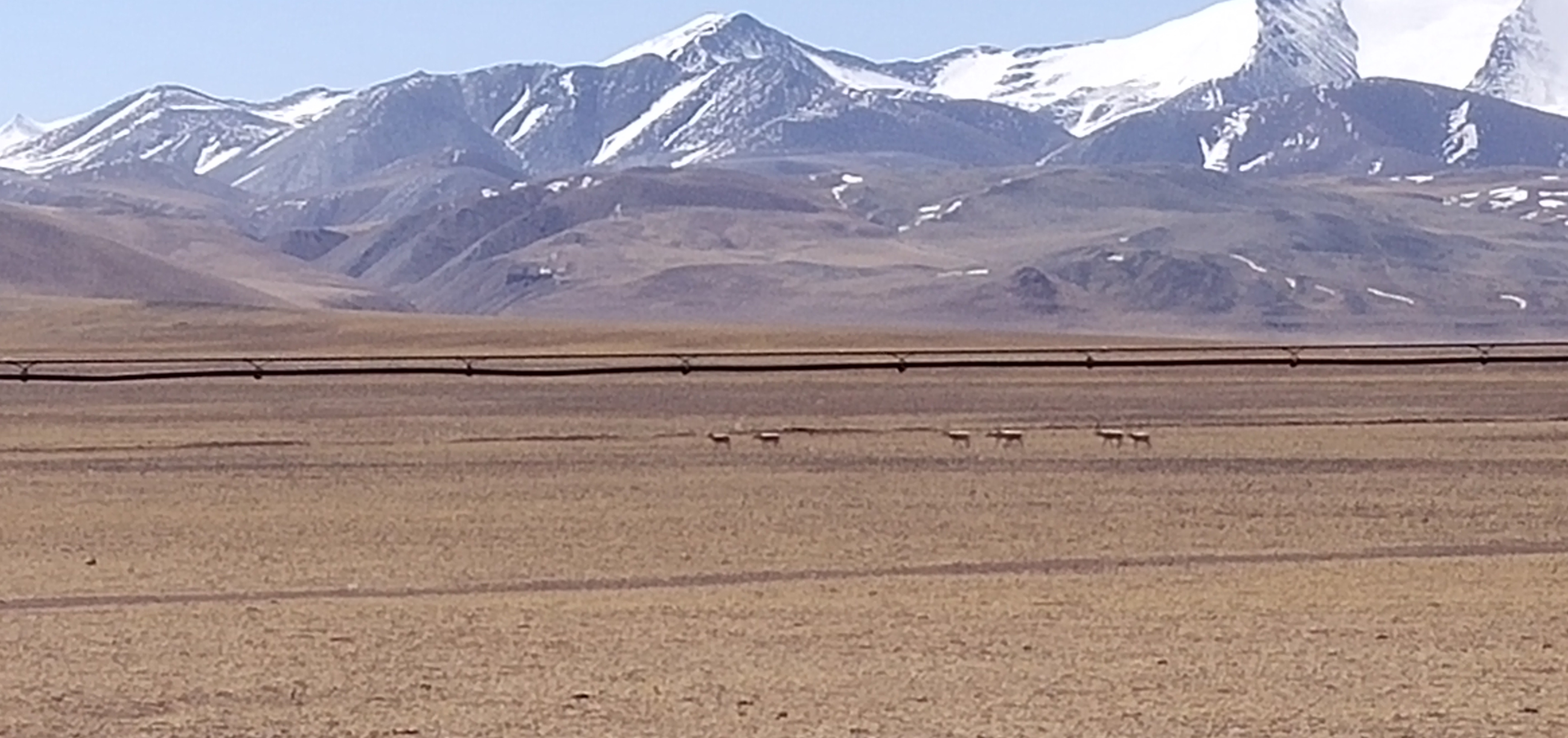 我可以私人订制一份全球旅行规划 懒人 旅行 行程 预算 待定 打卡