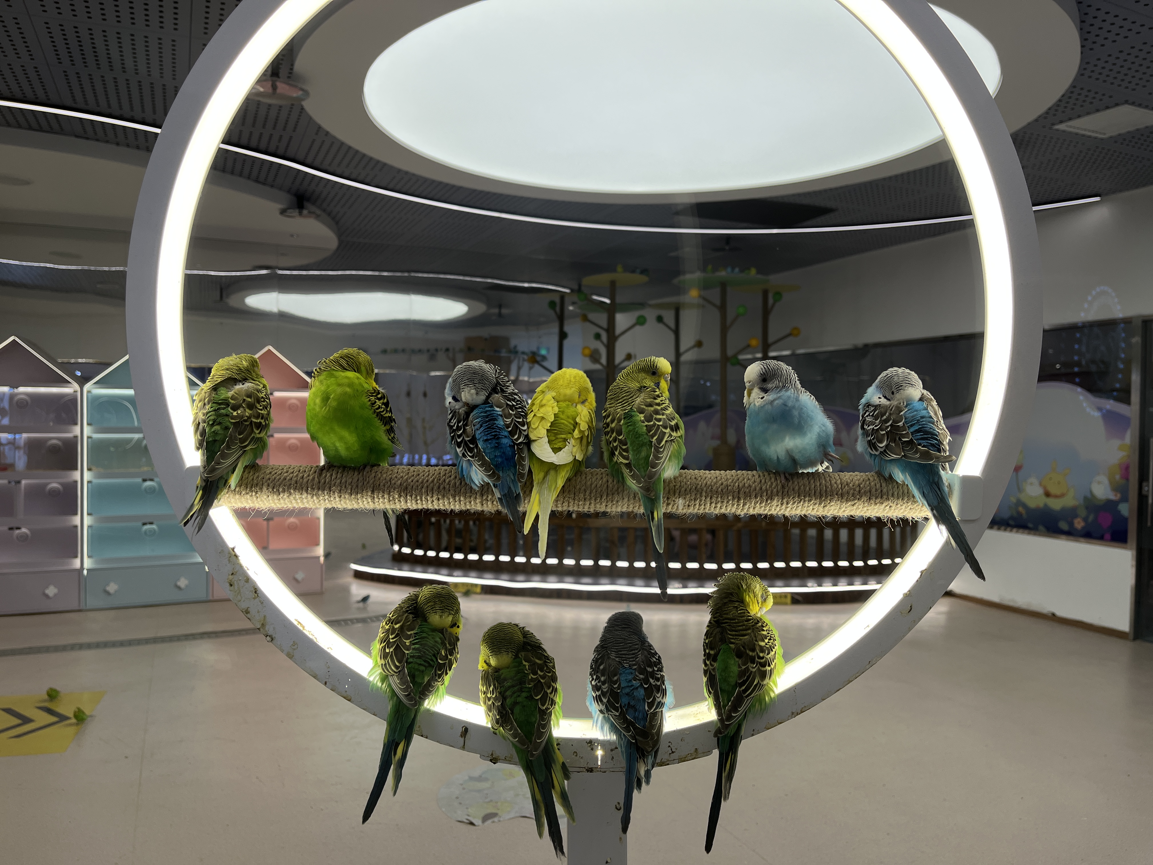 我可以15秒短视频，500~1000字的文案。