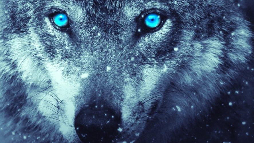 我可以完成2H短视频剪辑，撰写微电影剧本，公文写作，机关文稿等