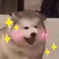 我可以陪玩各大游戏 每天工作12小时