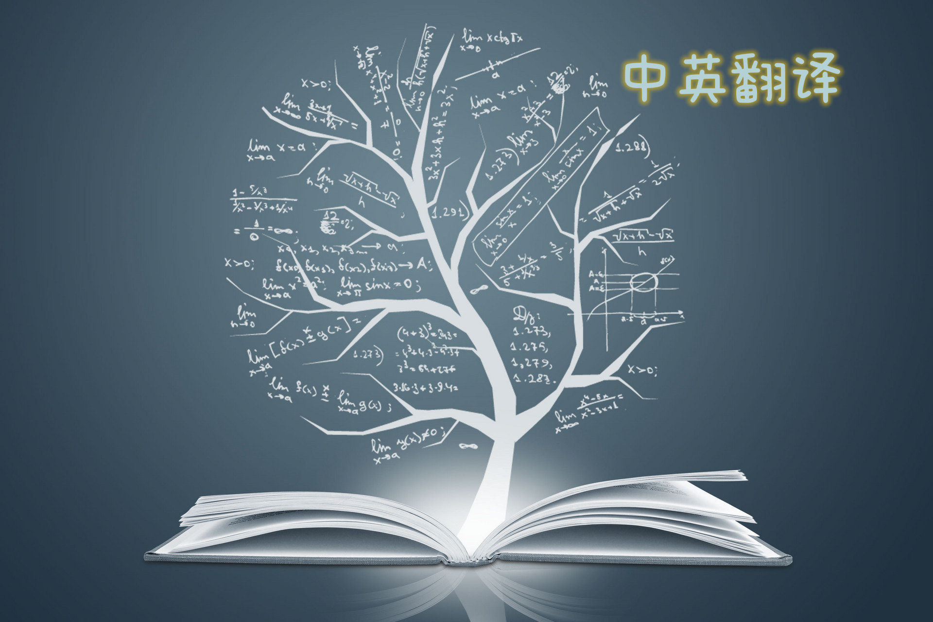 我可以完成一次短视频中英翻译。