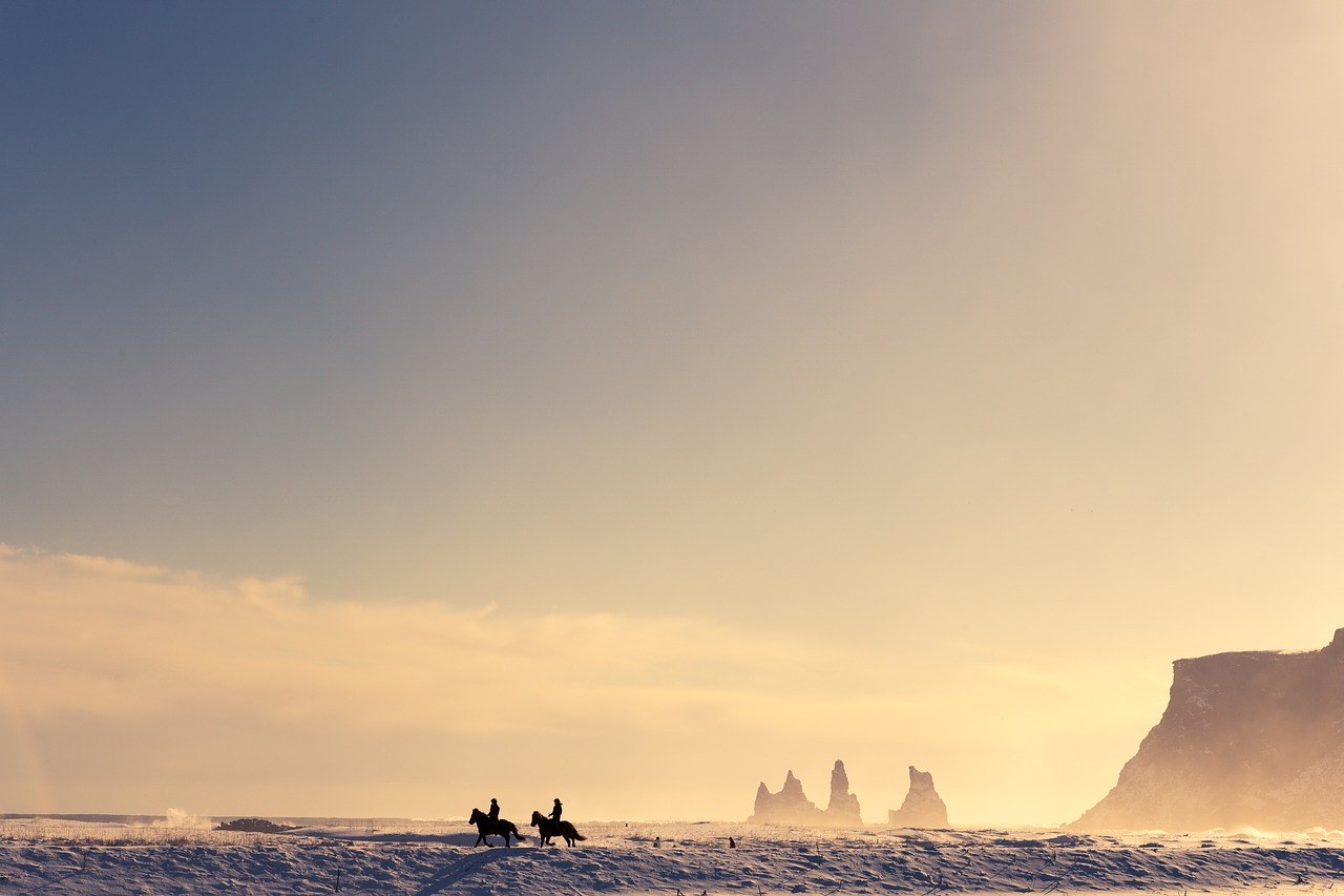 我可以公众号、知乎800字以上文章编辑、排版及日常运营；海报设计、PPT设计等