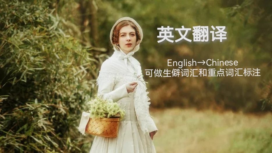 我可以完成英语四六级及以下的英文翻译，可做咨询，可以在小红书发表500字的文章