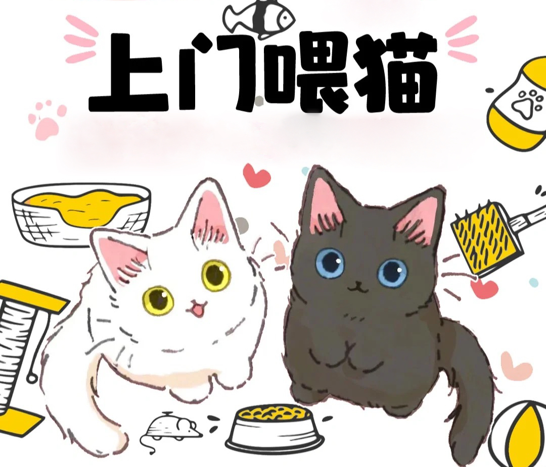 我可以上门喂一次猫