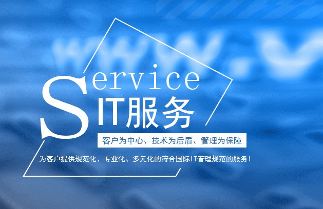 我可以为企业提供IT技术支持，1包括网络，2服务器，3终端，4机房建设等页面价格供参考，具体报价详谈