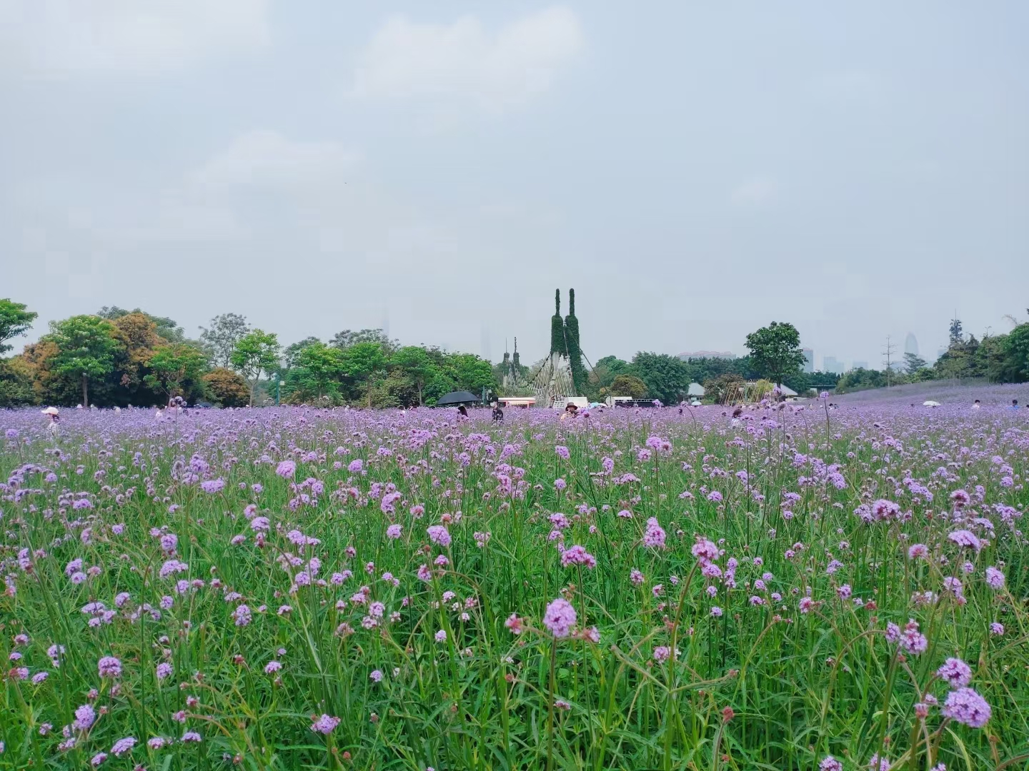 我可以陪你聊天1小时，释放情绪。