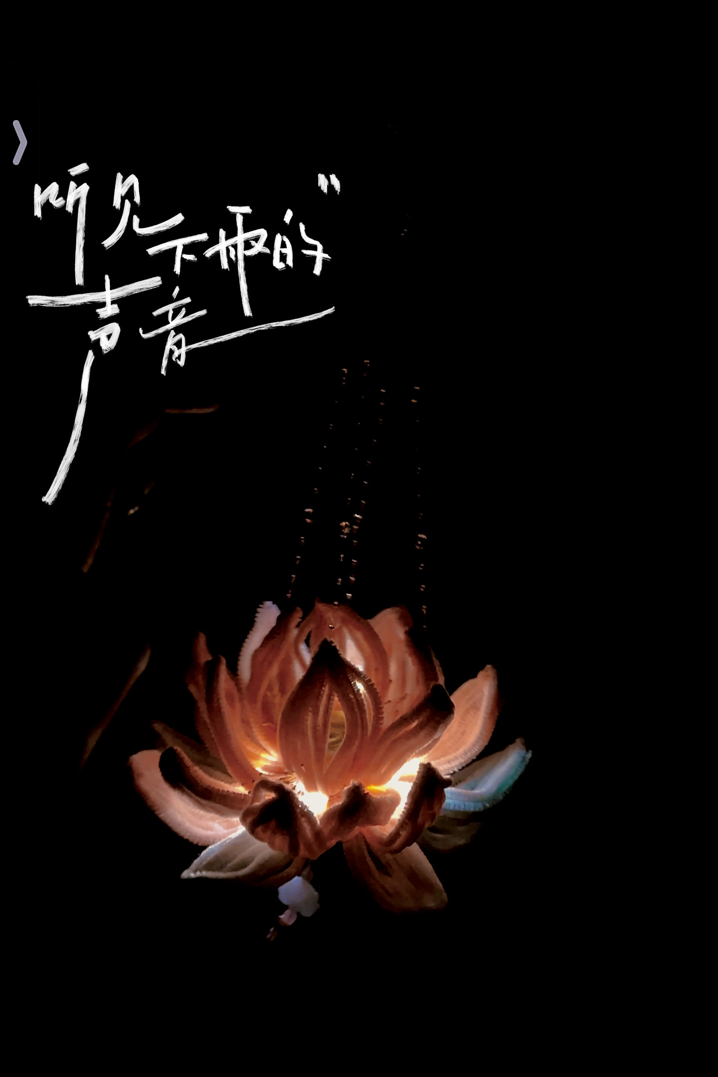 我可以剪辑视频， 1张海报，服装搭配。