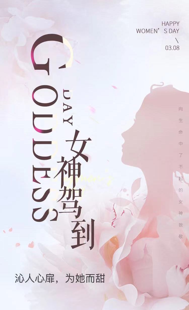 我可以独立完成3-5款产品上架及优化