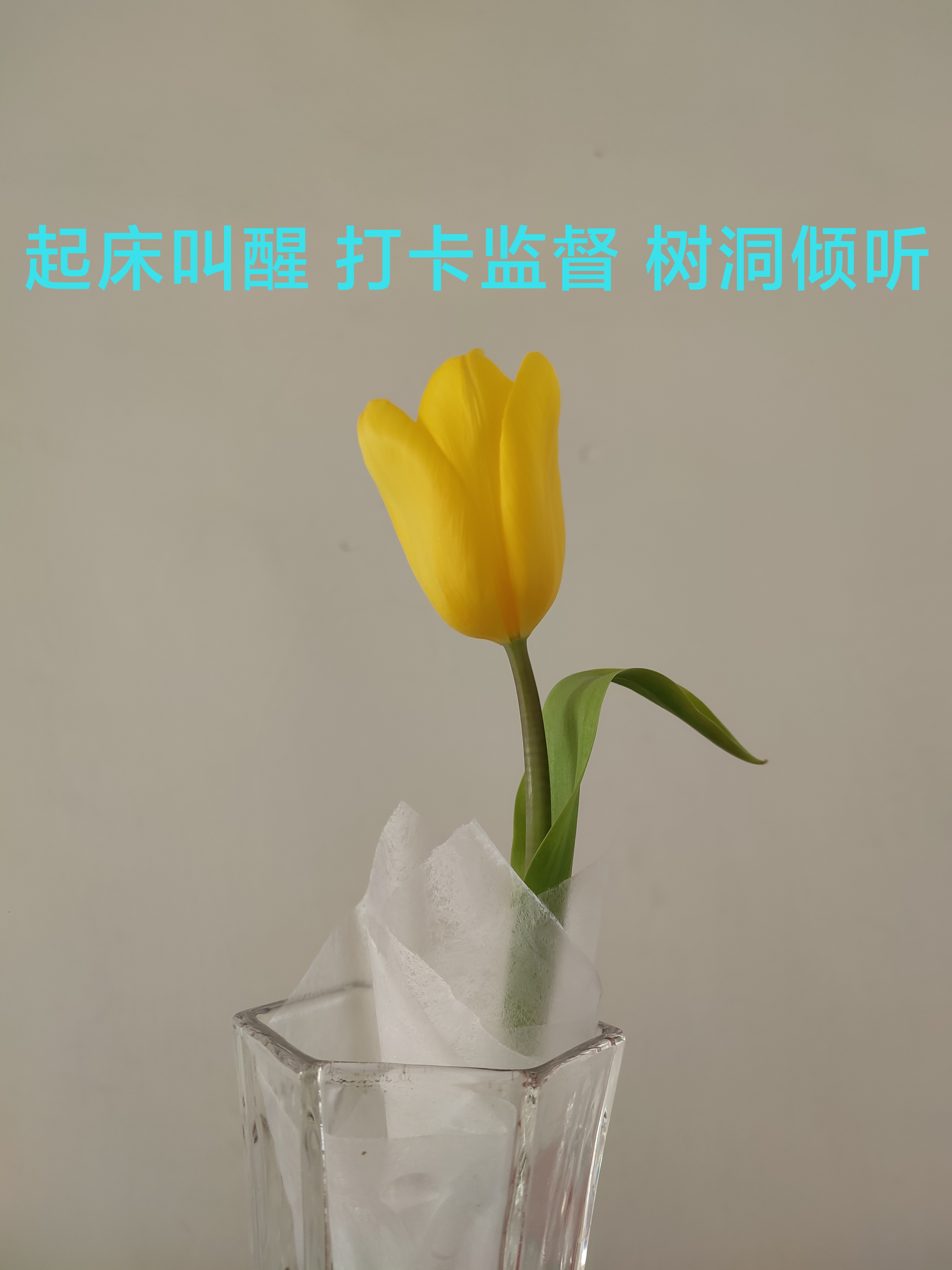 我可以起床叫醒，打卡监督，树洞倾听30分钟