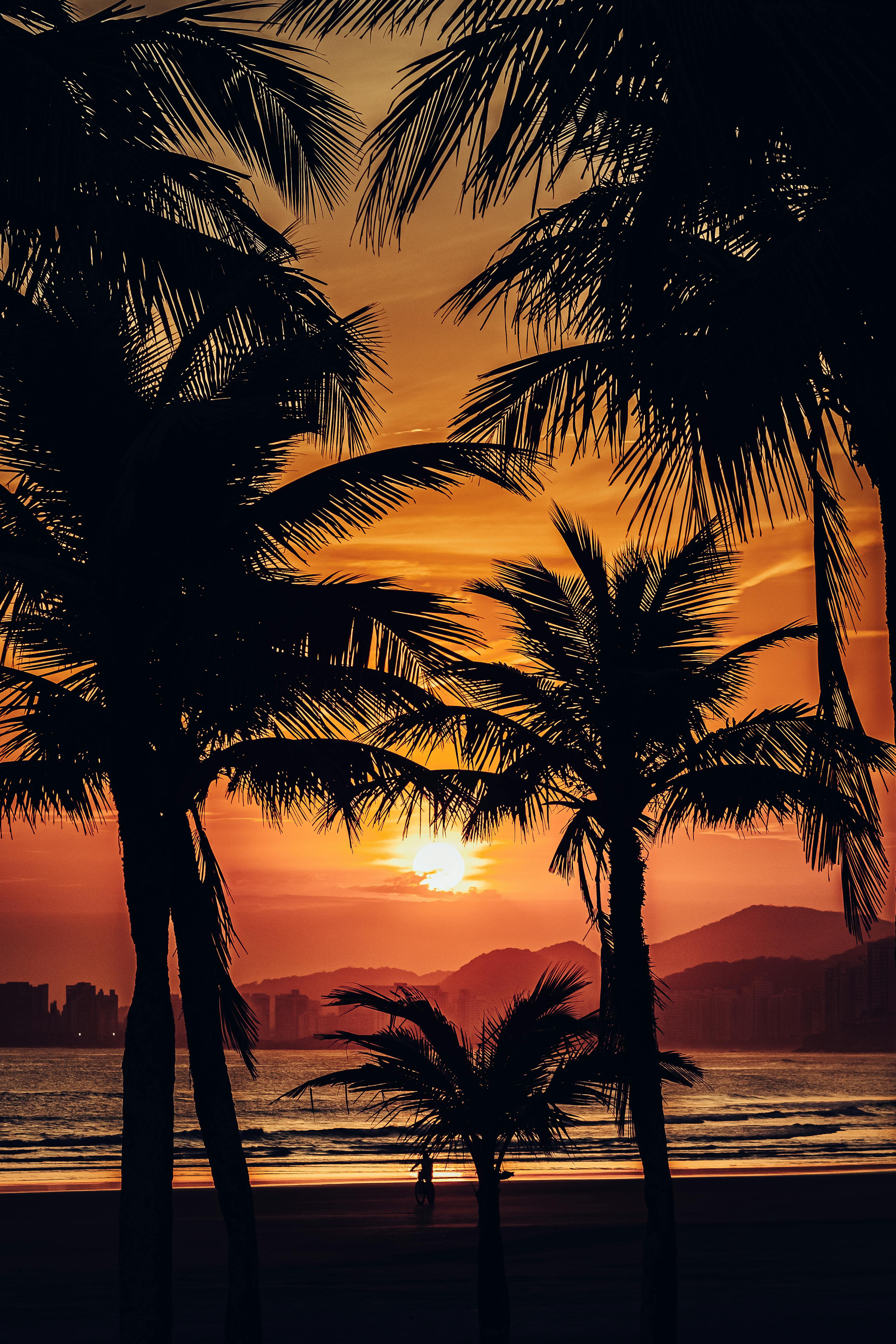 我可以做15秒的剪辑  抠图  图片却水印  海报制作