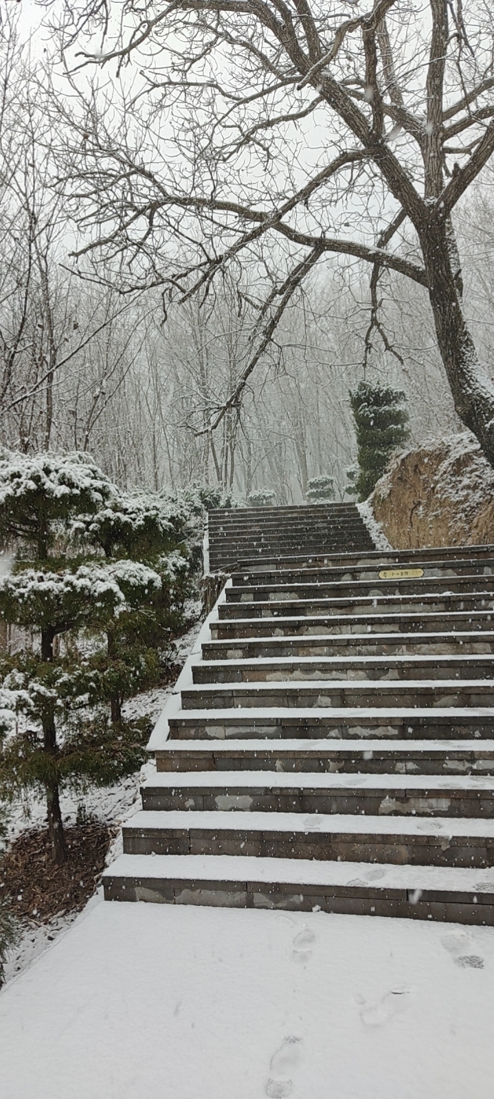 我可以陪你一直好好玩游戏