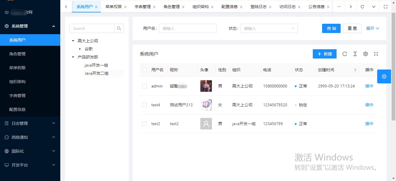 我可以独立完成一个管理系统的定制化开发