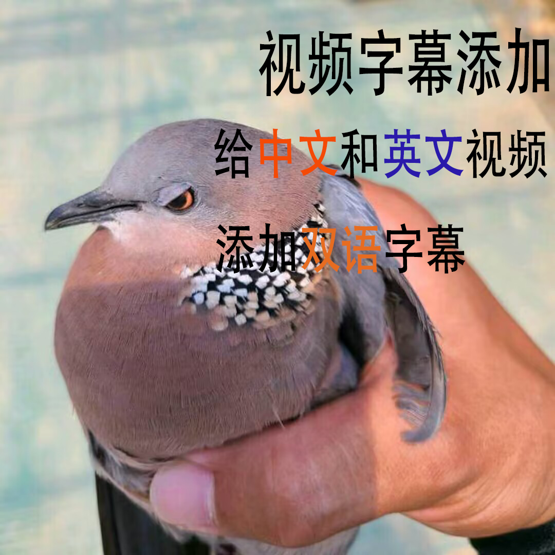 我可以给1个无字幕英语视频添加中文字幕（本地人工智能模型语音转文本，再AI翻译+人工校对）