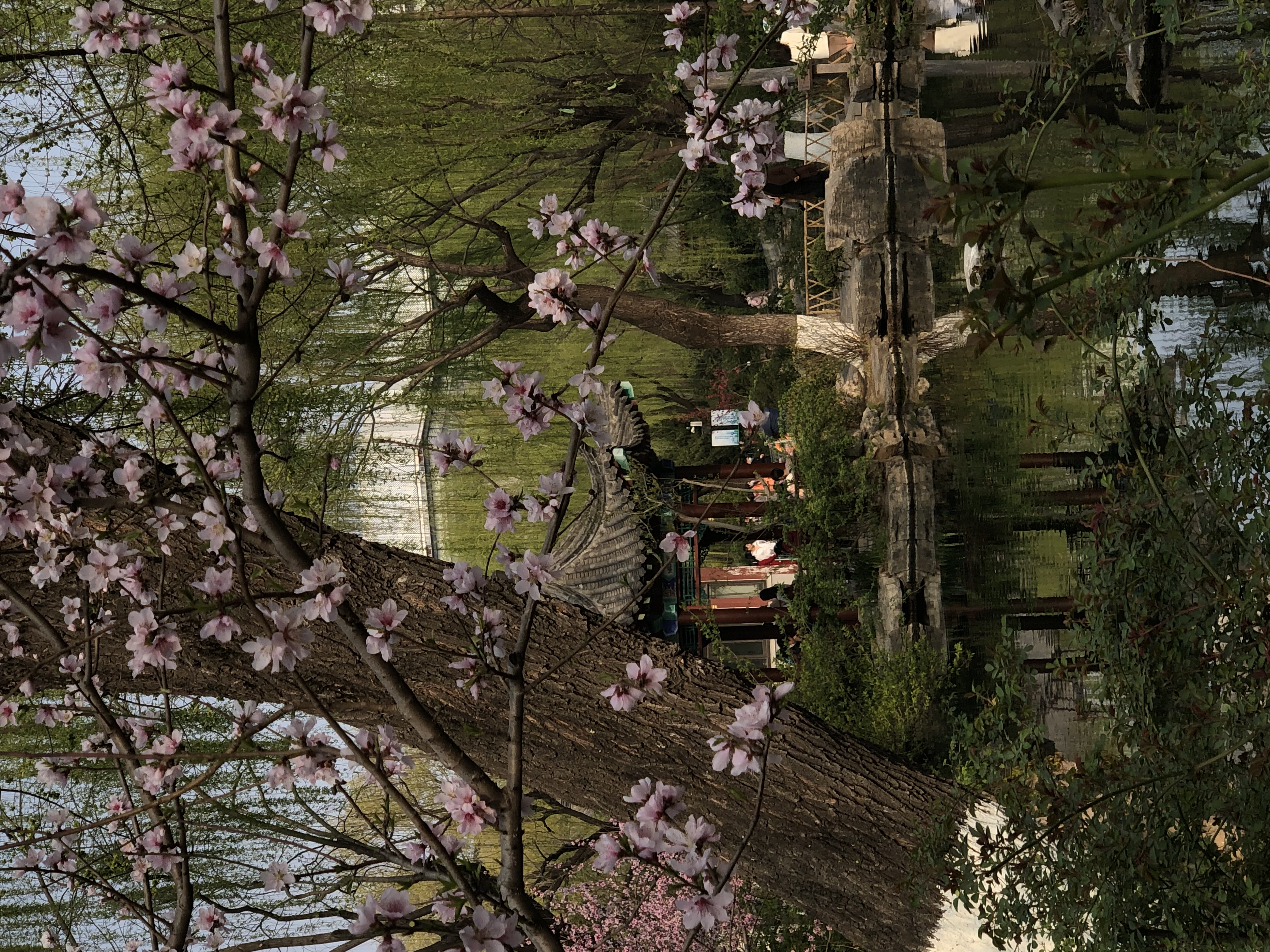 我可以建模并且做ppt，100-500字文章