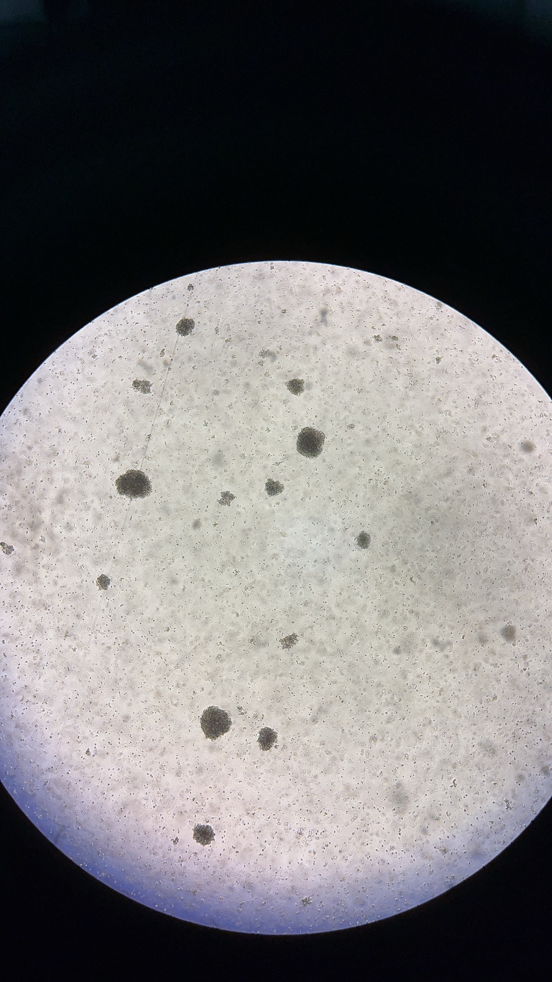 我可以一个大健康实验室搭建