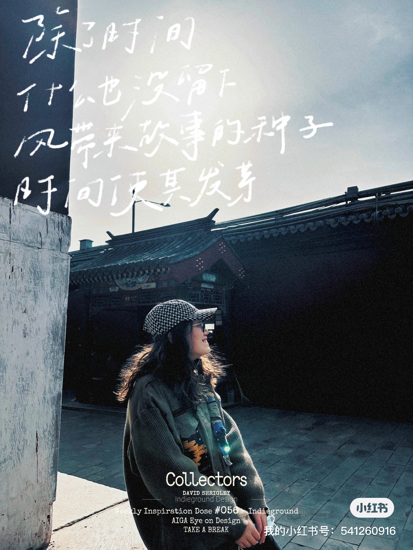 我可以处理50条数据，独立运营电商店铺3个