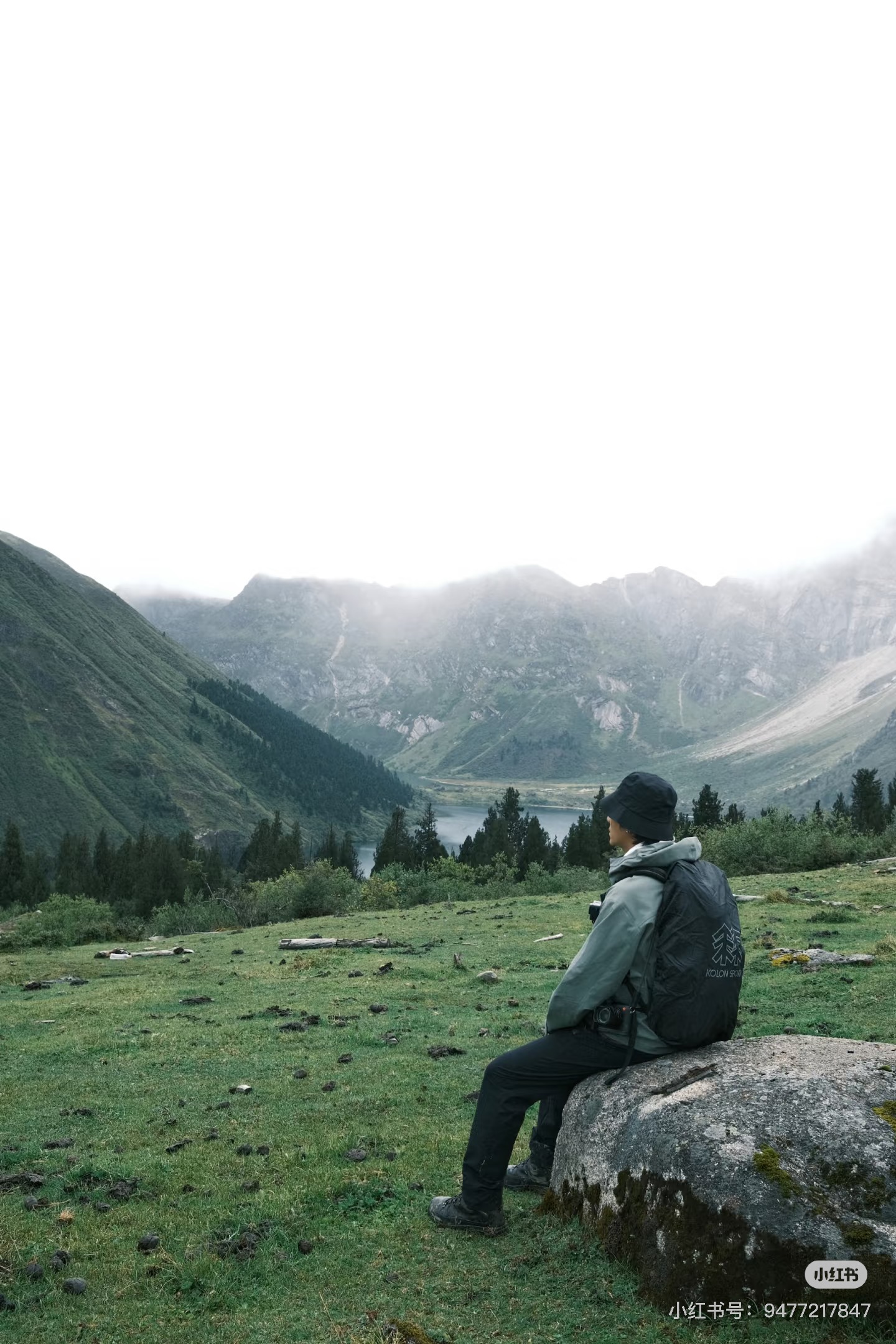 我可以对一段视频音频进行中日互译